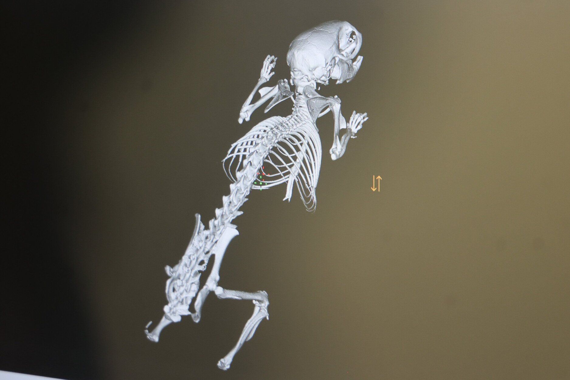 El centro de investigación CIC biomagGUNE abre sus puertas