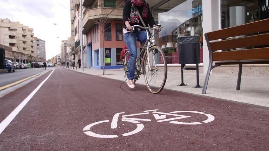 La deficiencia de los carriles bici de Tudela copan varias iniciativas.