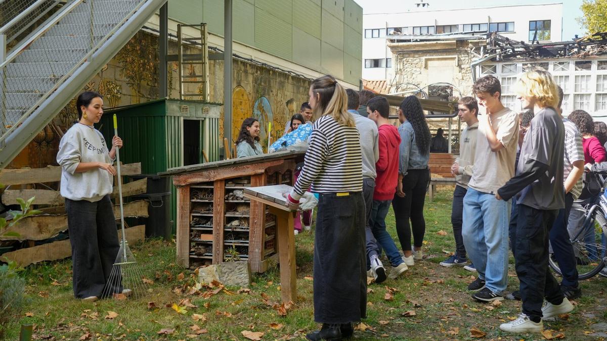 &#039;Huerto Ecológico Urbano&#039; de la UPV/EHU