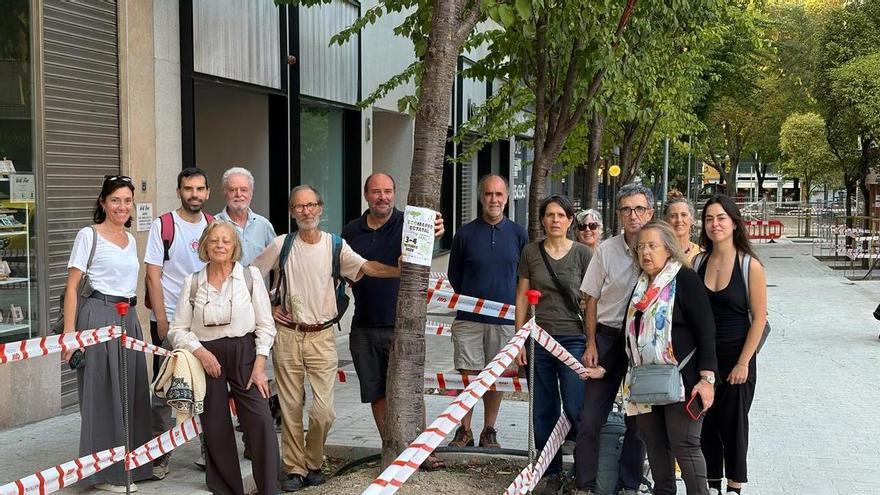 'Aquí falta un árbol': detectan más de 1.057 puntos negativos de arbolado en Pamplona