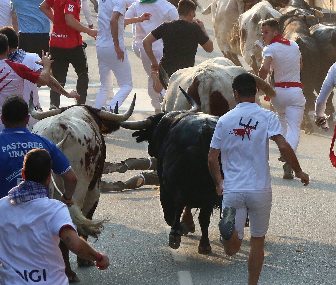 Fotos del segundo encierro de fiestas de Tafalla 2025