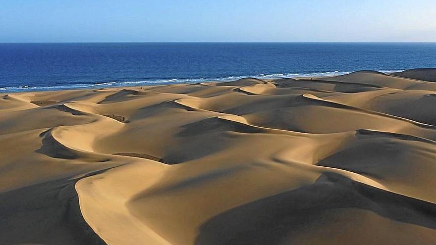 Las espectaculares dunas de Maspalomas se han recuperado notablemente durante la pandemia del coronavirus.