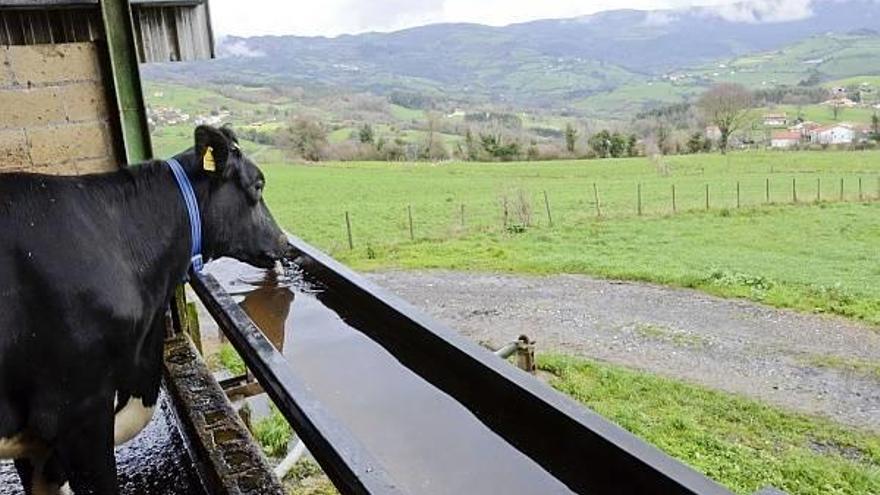 La Diputación Foral de Bizkaia compensa a los baserritarras