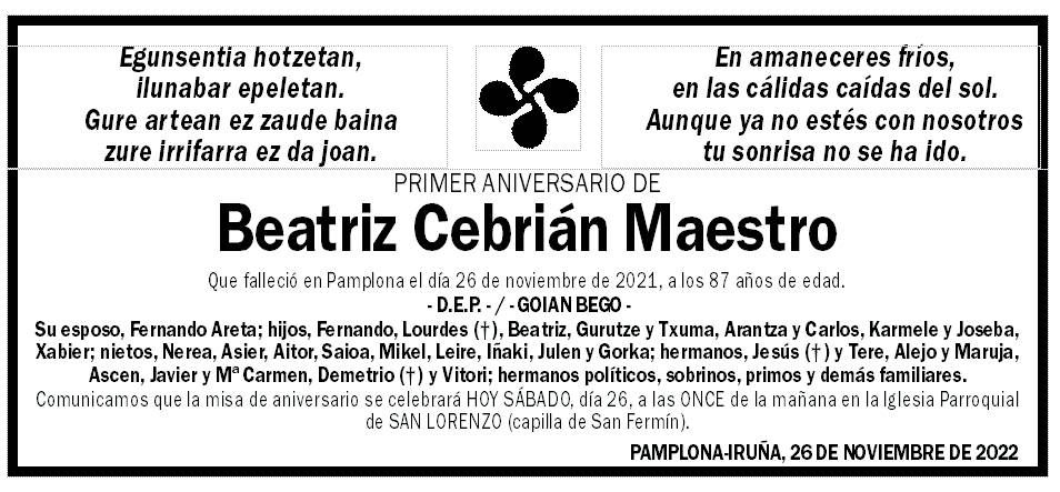 Beatriz Cebrián Maestro
