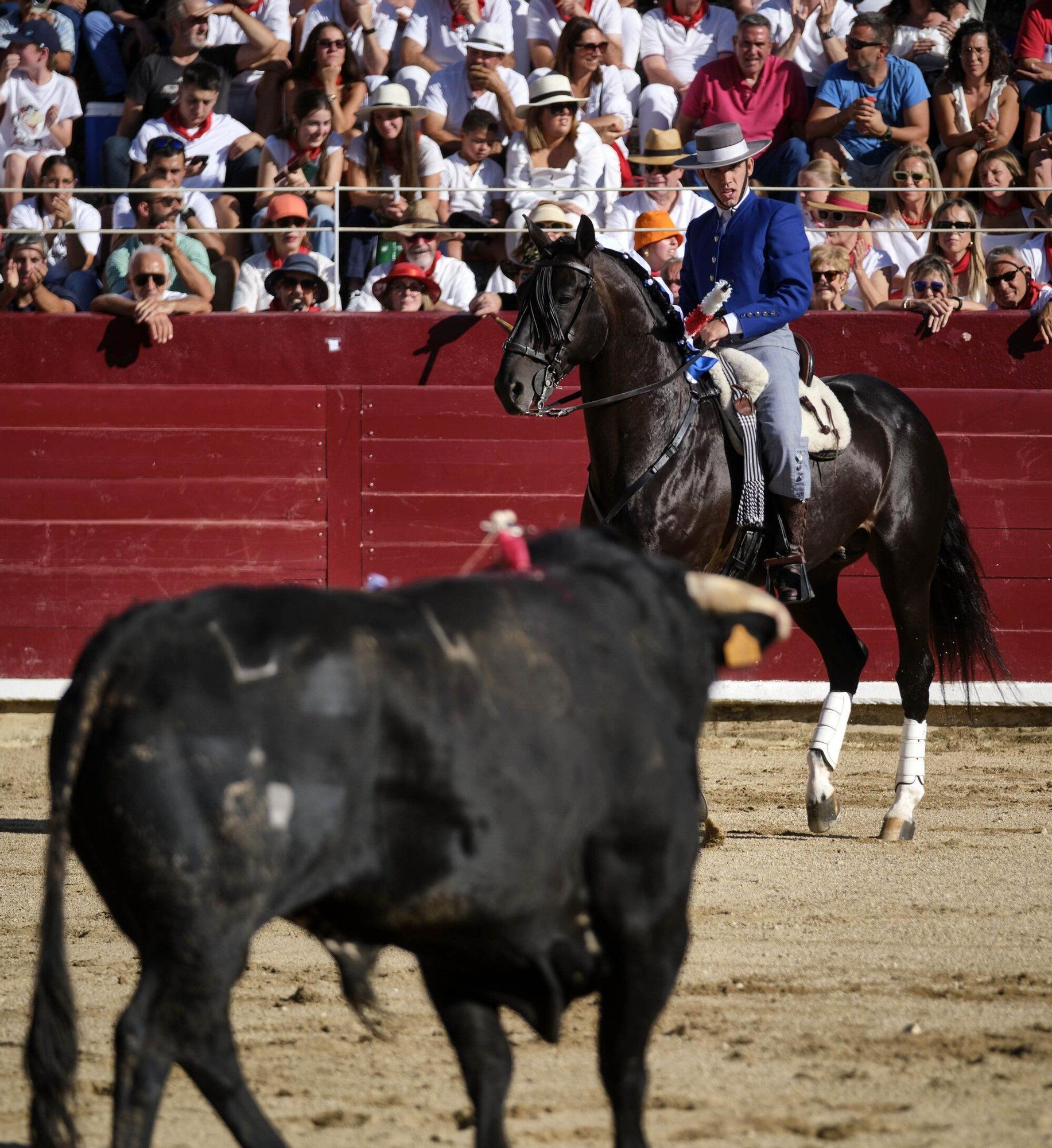 Fotos de la 'encerrona' de Guillermo Hermoso de Mendoza en la plaza de toros de Estella - Lizarra