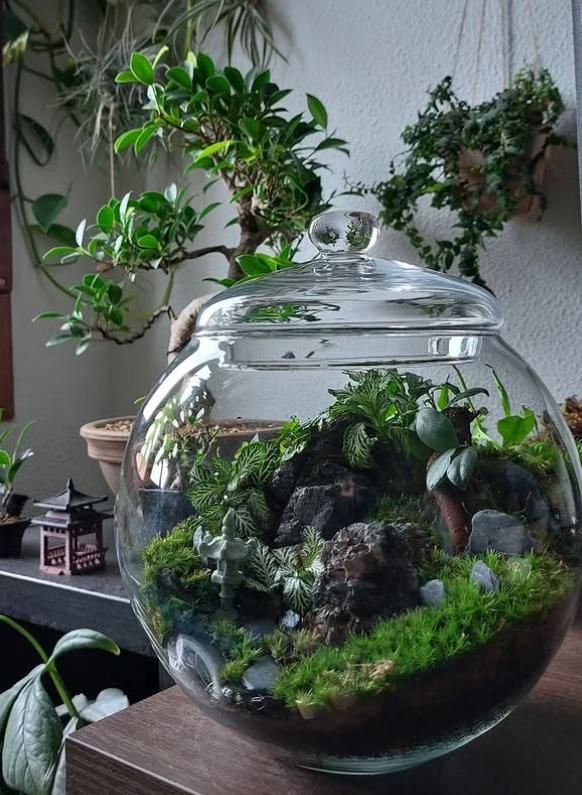 En imágenes: Así son los pequeños universos botánicos que triunfan en Bizkaia