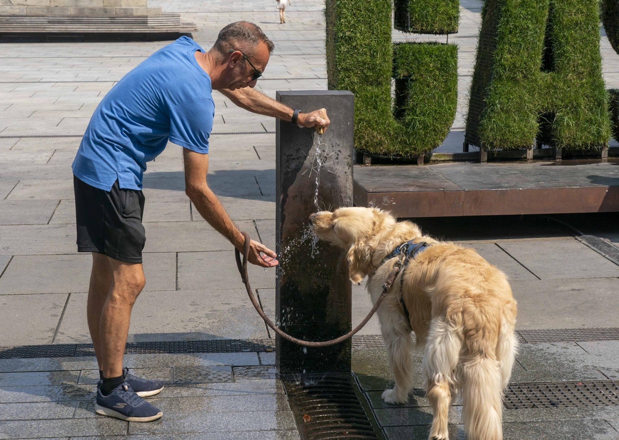En imágenes: Vitoria sufre los estragos de la ola de calor