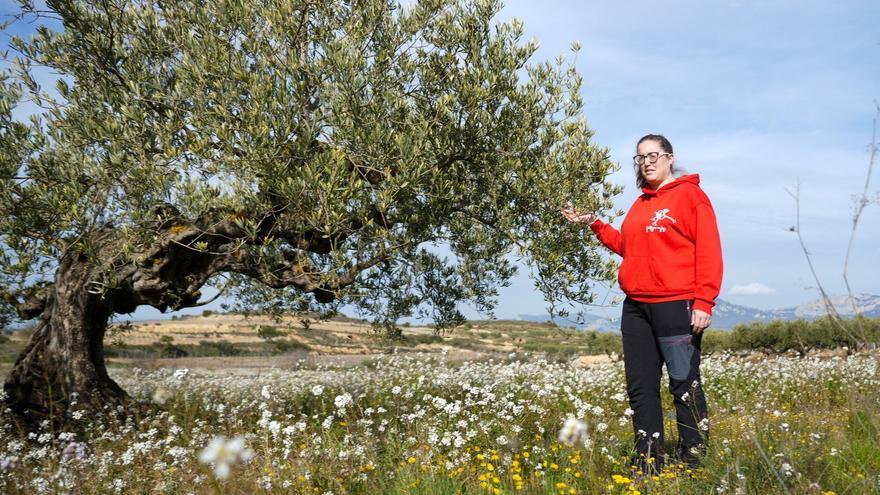 Hoja de ruta del agro alavés: sostenibilidad y relevo generacional