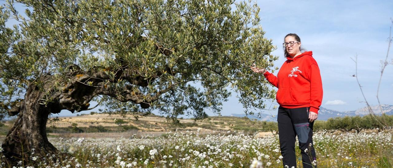 Hoja de ruta del agro alavés: sostenibilidad y relevo generacional