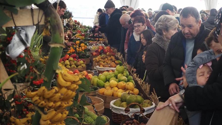 La animación festiva no cesa y Elgoibar se prepara para disfrutar de la feria de Gabon Zahar este sábado