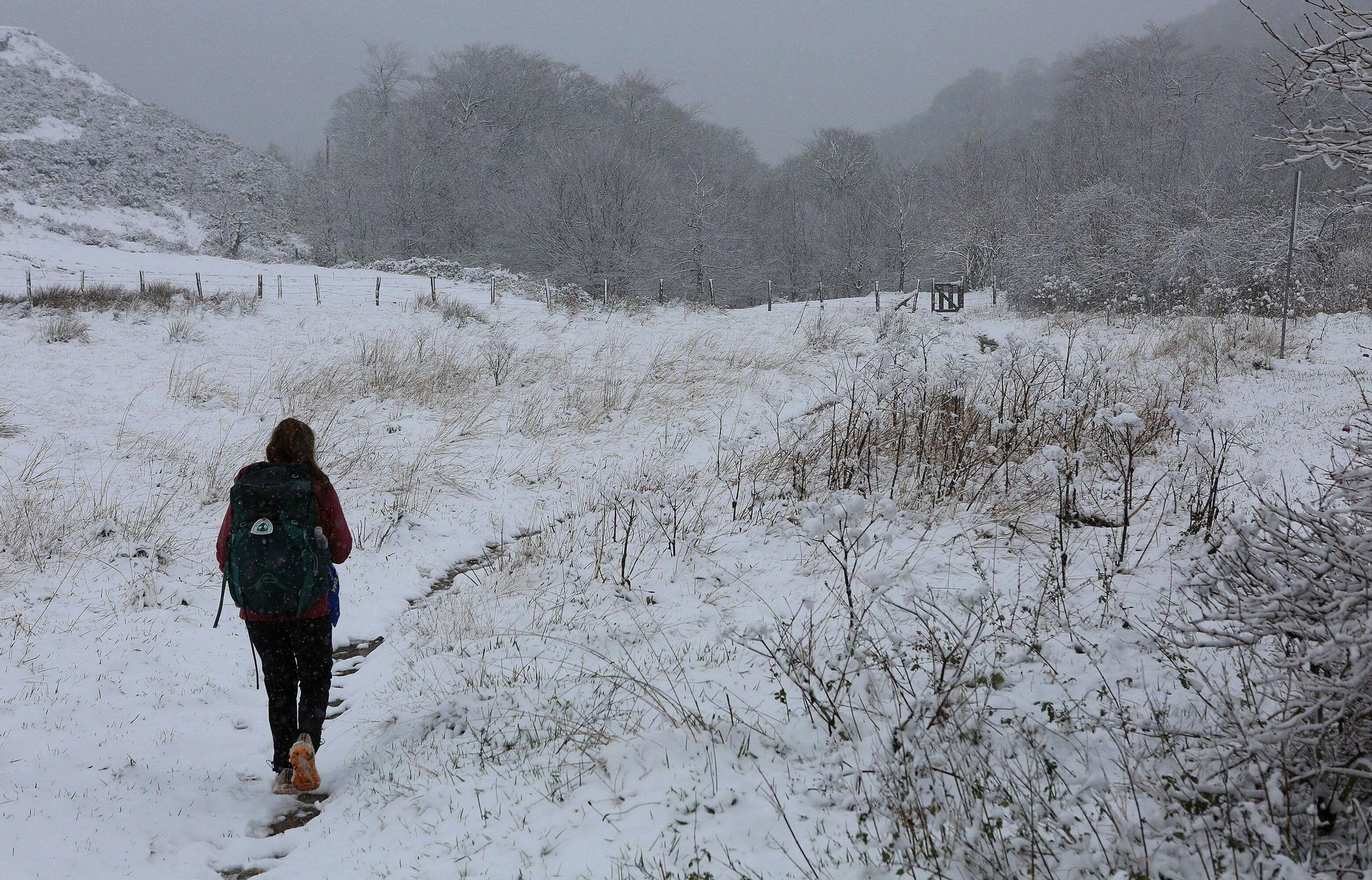 Fotos de la nieve en Navarra (20 de noviembre de 2025)