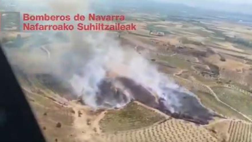 Estabilizado un incendio de vegetación declarado en Viana