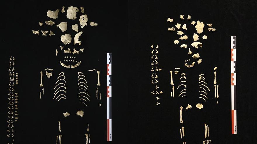 Un investigador de la UPNA descubre cuatro enterramientos infantiles asociados a la fundación de Andelo