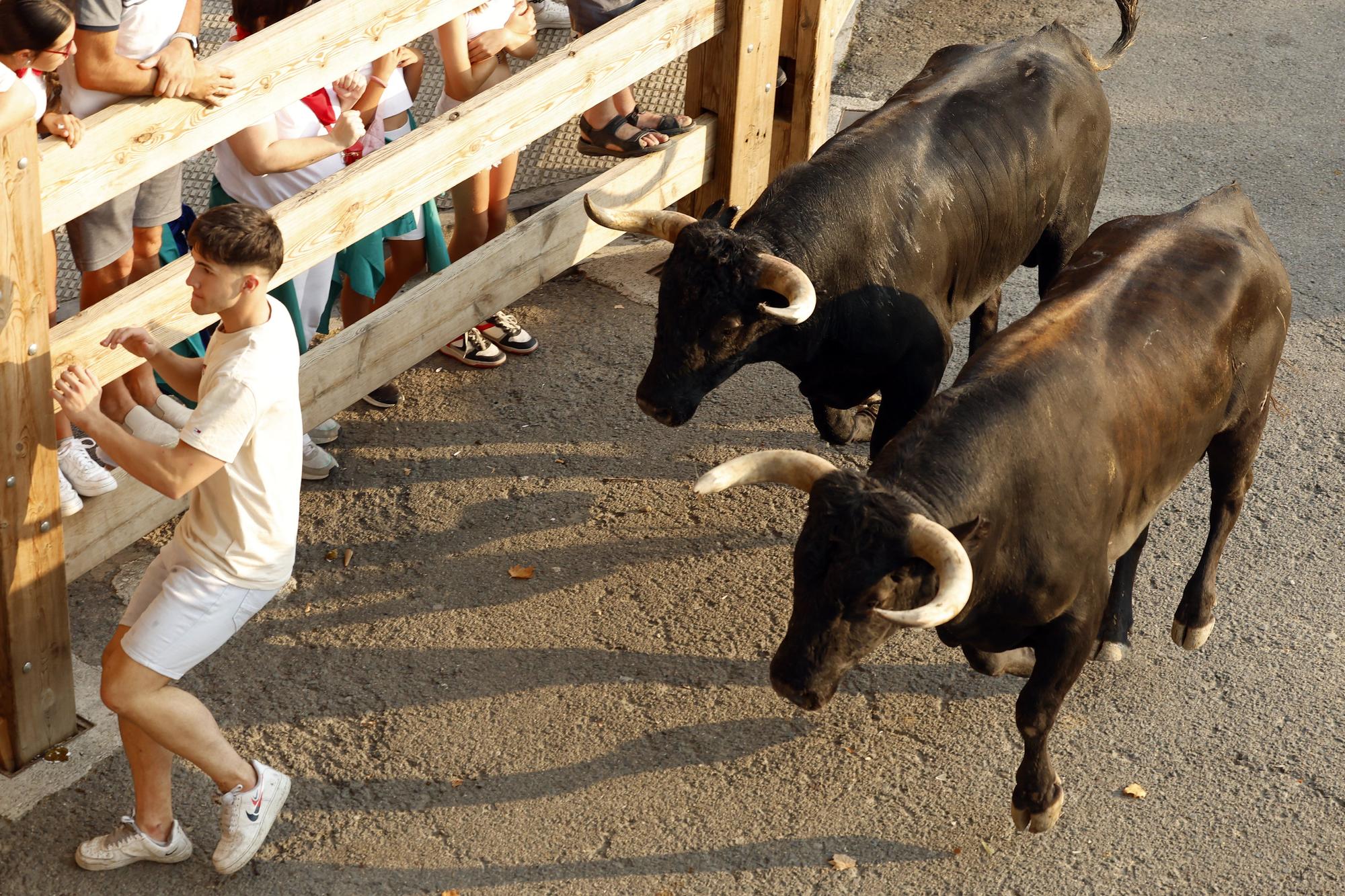 Fotos del segundo encierro de fiestas de Tafalla 2025