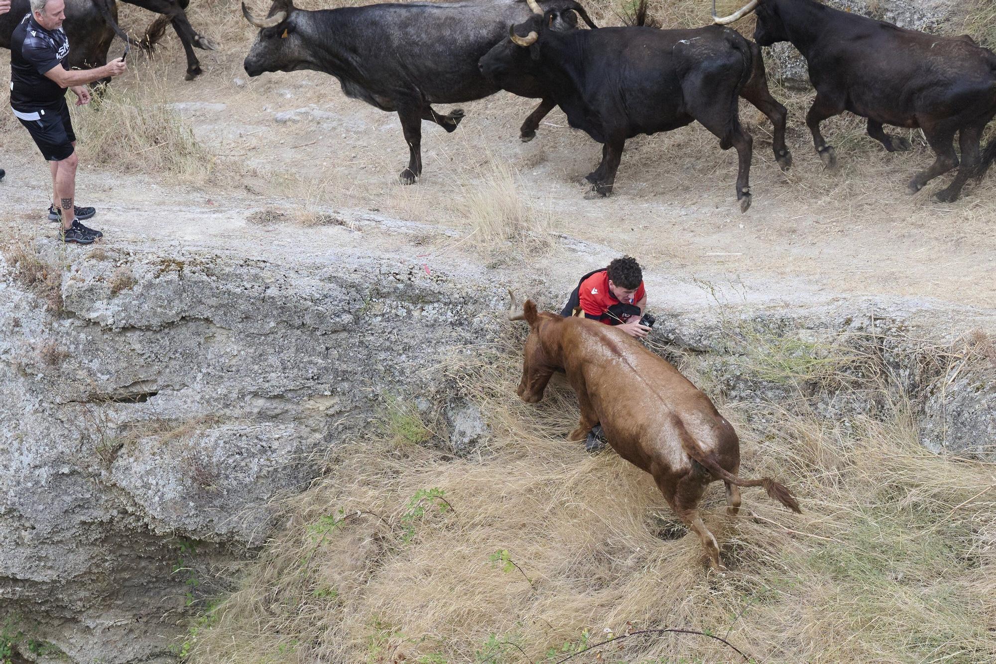 Fotos del tercer encierro del Pilón de Falces 2025