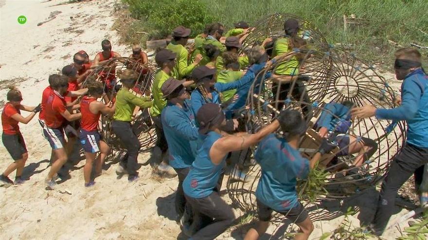 Llega al &#039;Conquis&#039; la mítica competición de hámsteres