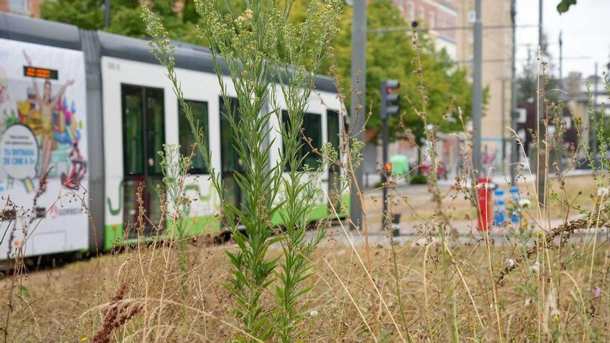 Los jardineros de Vitoria cumplen cinco meses en huelga