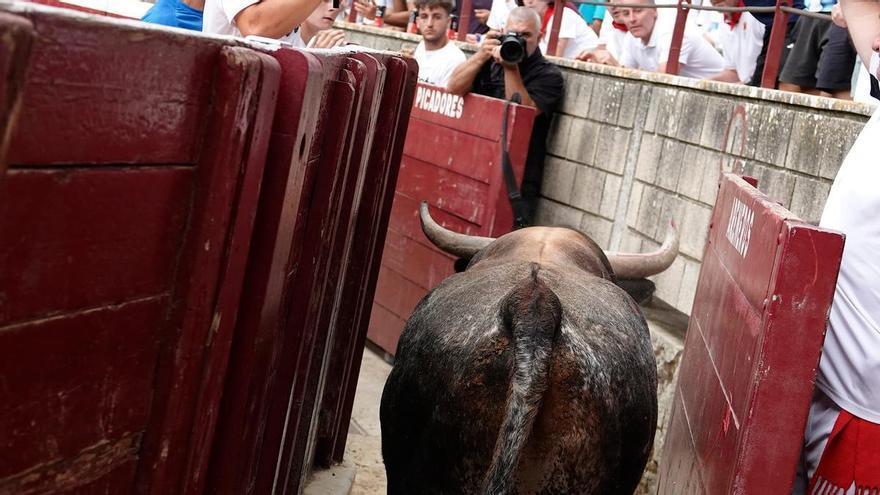 Vídeo de los tres saltos de un astado en la plaza de toros de Tafalla