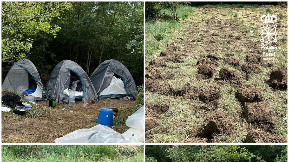 Policía Foral: detalle de la incautación
