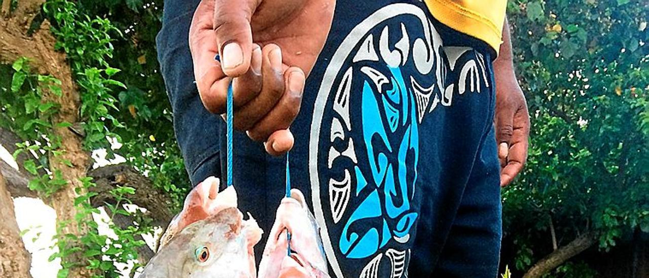 Mikroplastikoak paradisuan