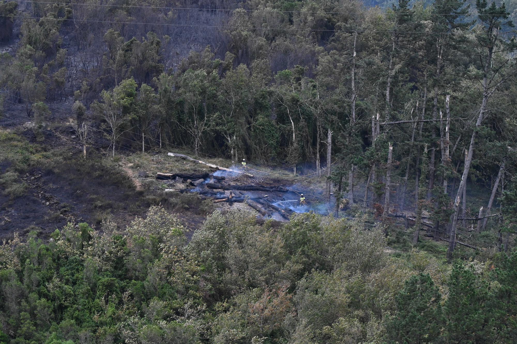 Incendio forestal en Güeñes