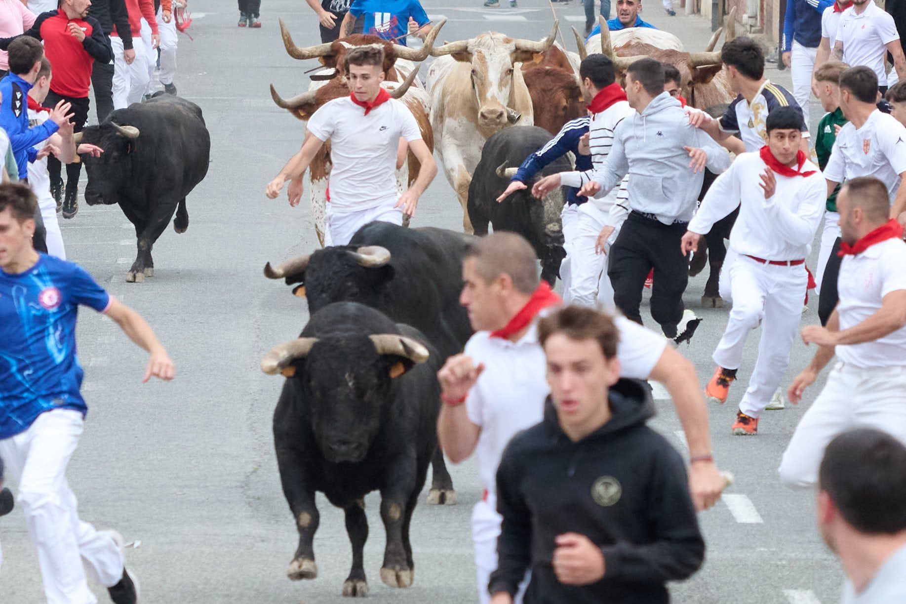 Fotos del segundo encierro de las fiestas de Sangüesa 2025