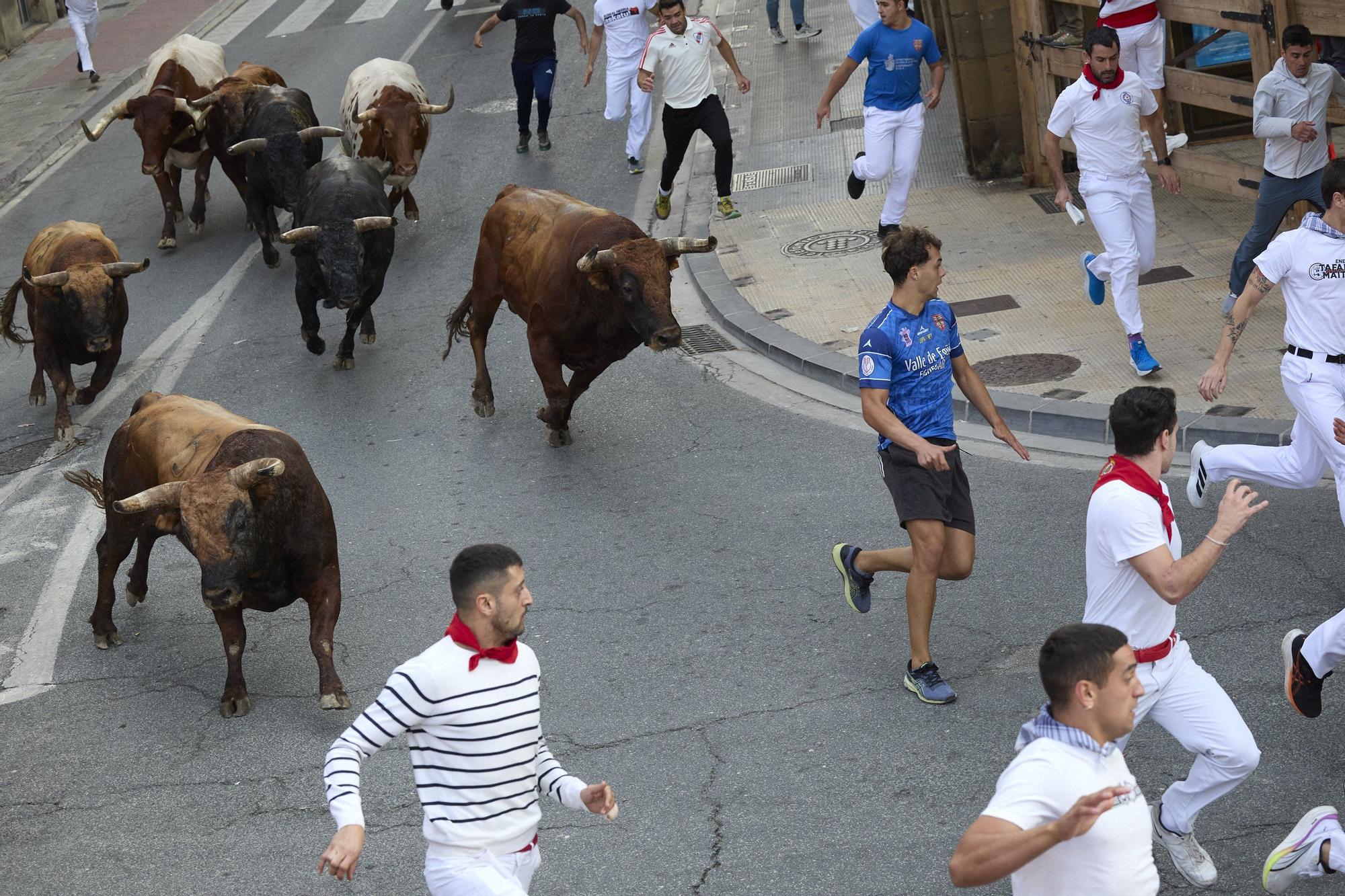 Fotos del sexto encierro de las fiestas de Tafalla 2025