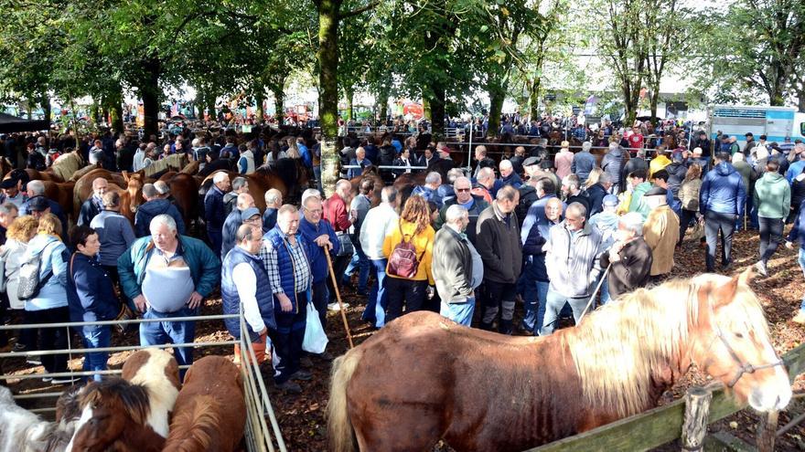 Las Ferias de Otoño de Elizondo se celebrarán el 30 y 31 de octubre