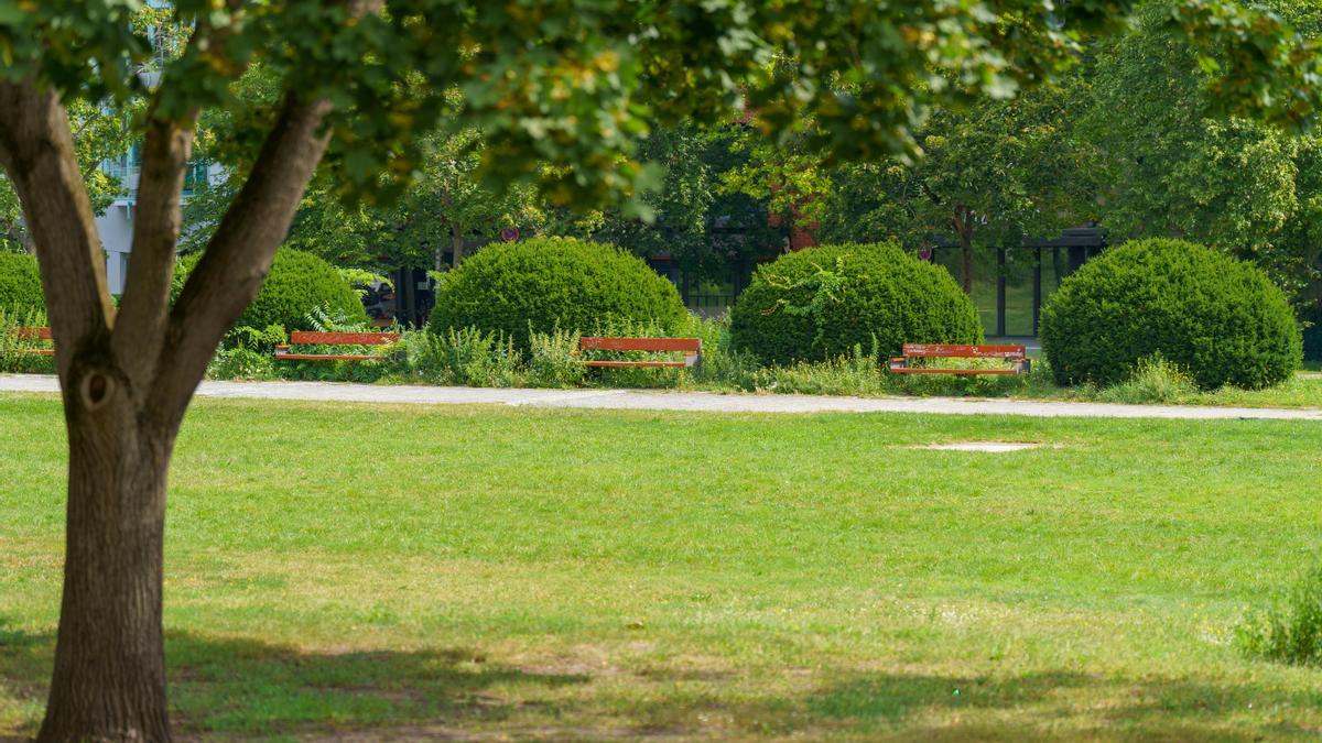 Imagen de un parque.