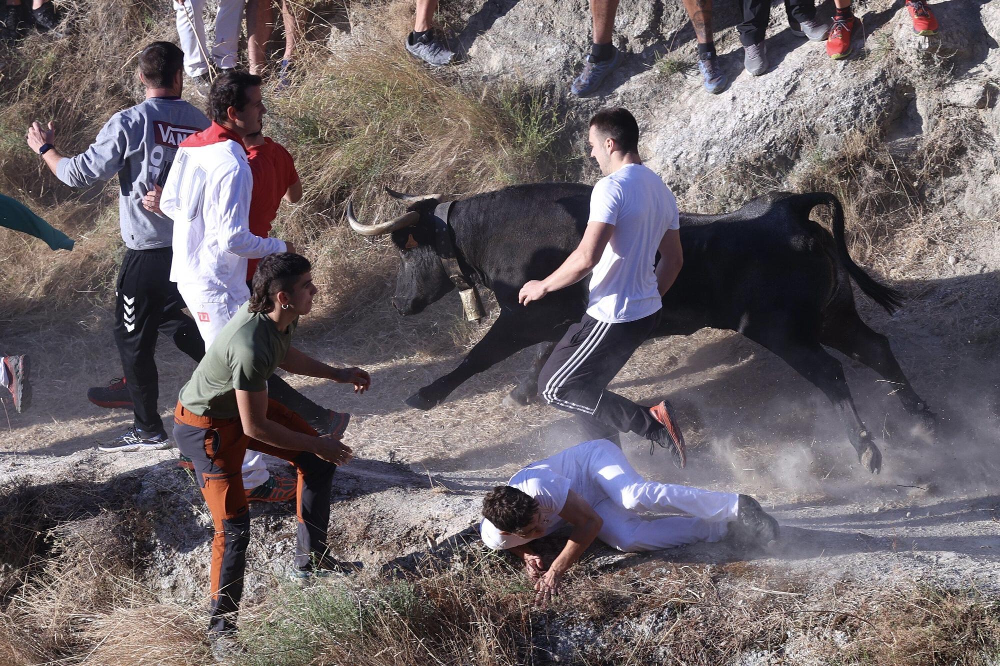 Fotos del penúltimo encierro del Pilón de Falces 2025