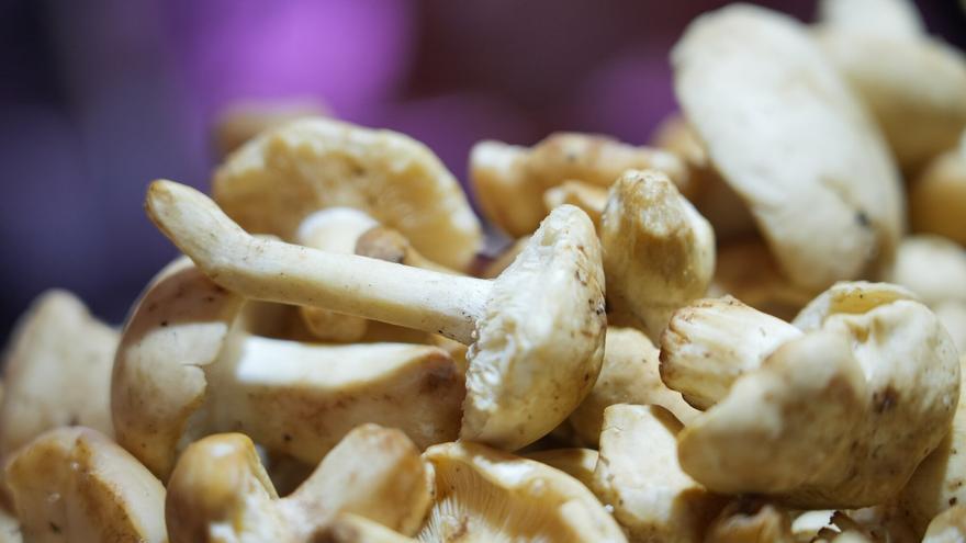 “En 40 años no me habían robado nunca; hasta ahora”