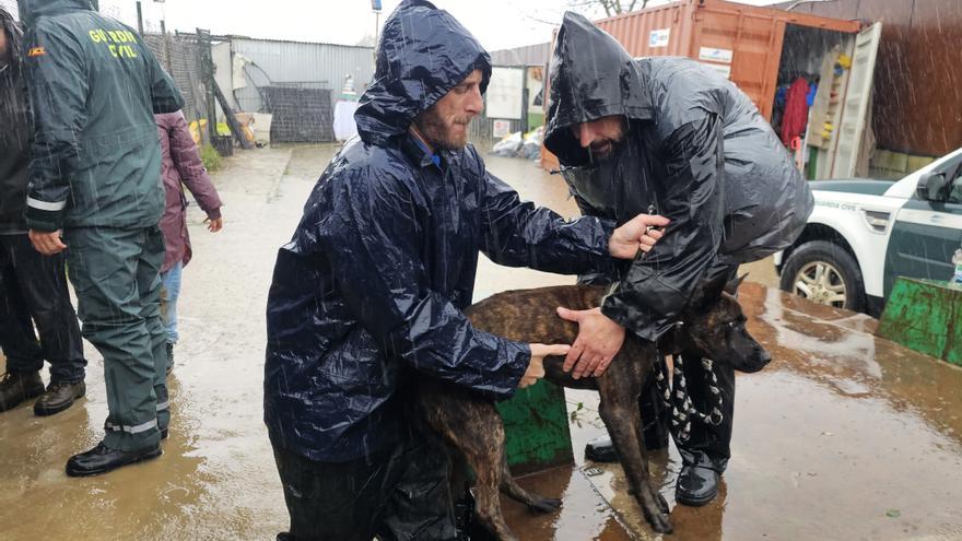 La borrasca Francis causa 59 incidencias en Andalucía con desbordamientos, incomunicaciones y rescates