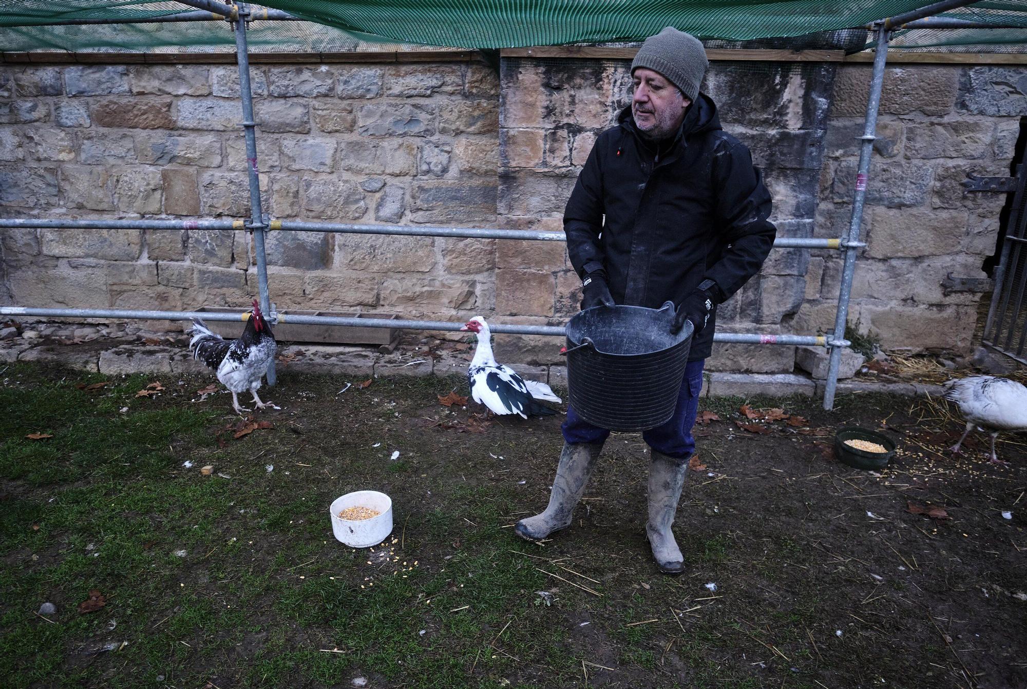 Las medidas contra la gripe aviar en la Taconera de Pamplona