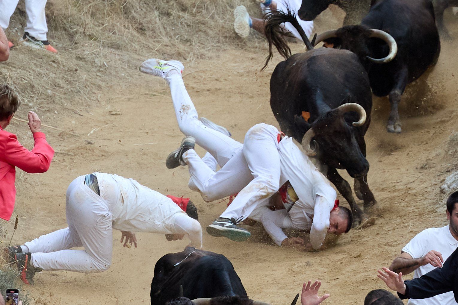 Fotos del tercer encierro del Pilón de Falces 2025