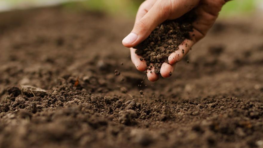 Agricultura regenerativa: la revolución silenciosa