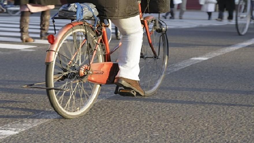 Bizkaia dispone de varios servicios de préstamo automático de bicicleta promovidos desde la Diputación foral y ayuntamientos.