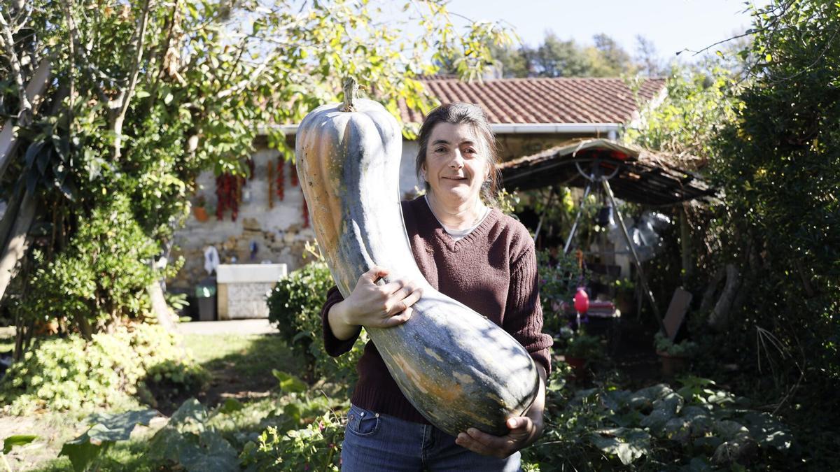 Verduras extraordinarias en la huerta natural de Sonia