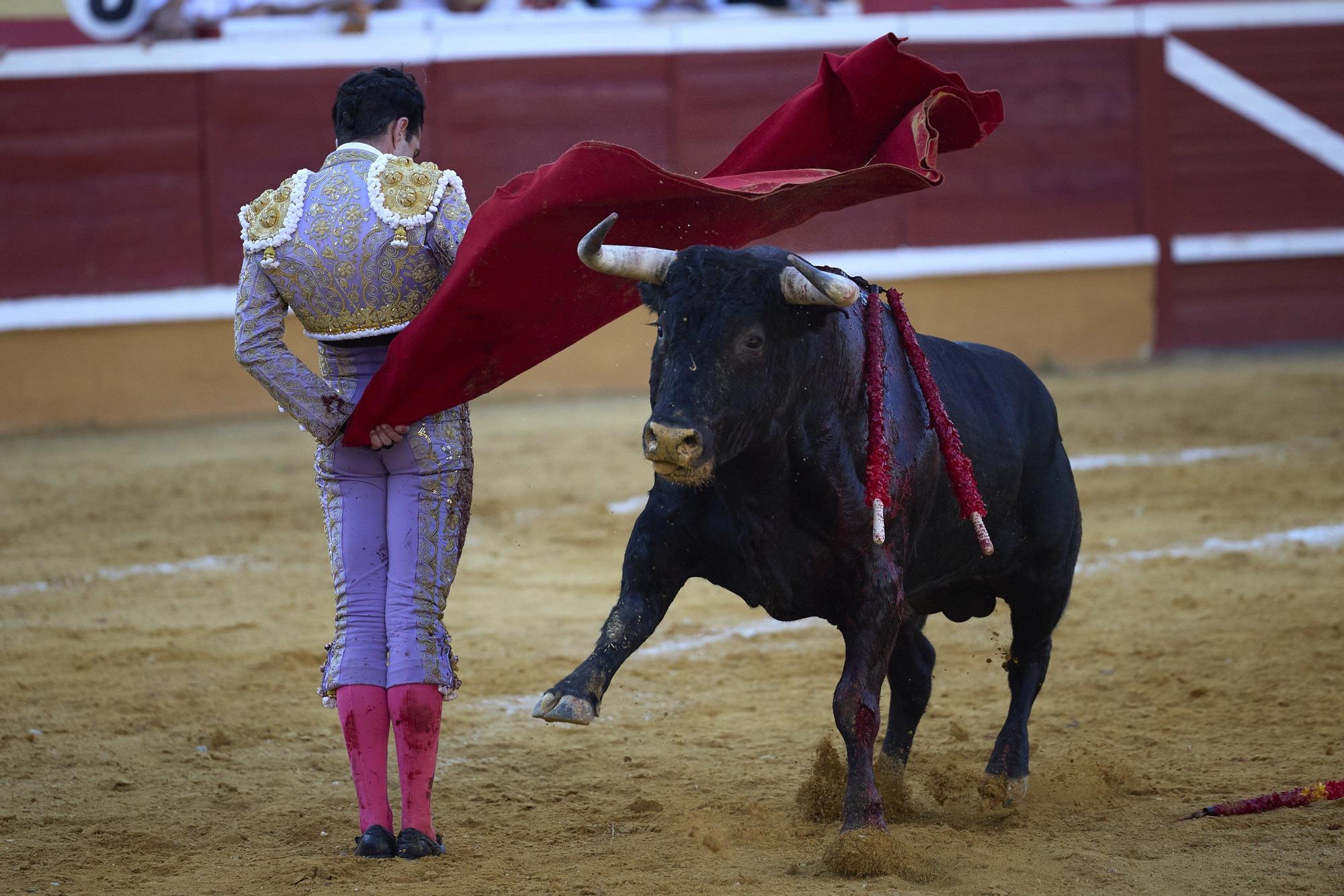 Fotos de la corrida de toros en Tudela con toros de Garzón Valdenebro