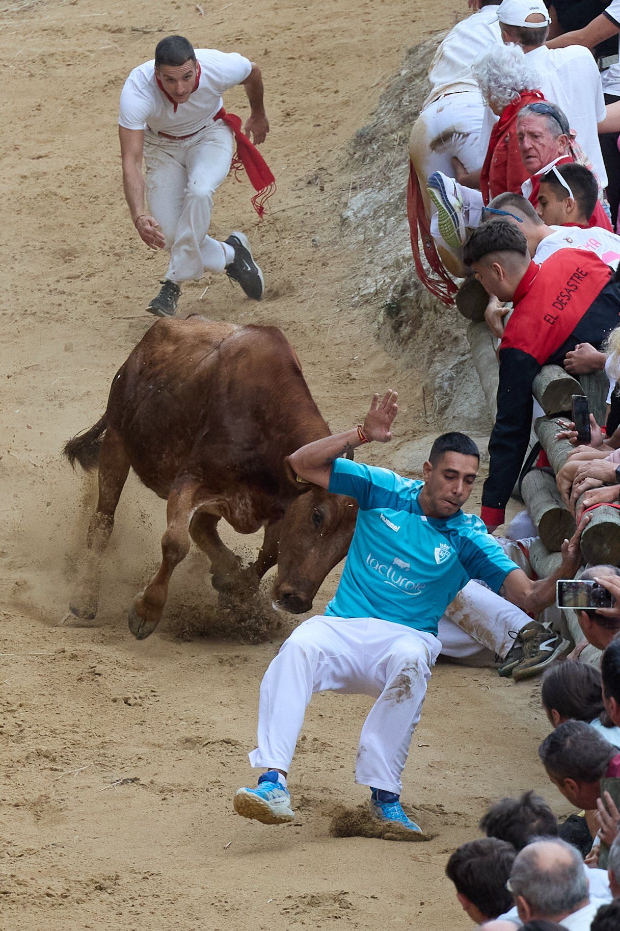 Fotos del tercer encierro del Pilón de Falces 2025