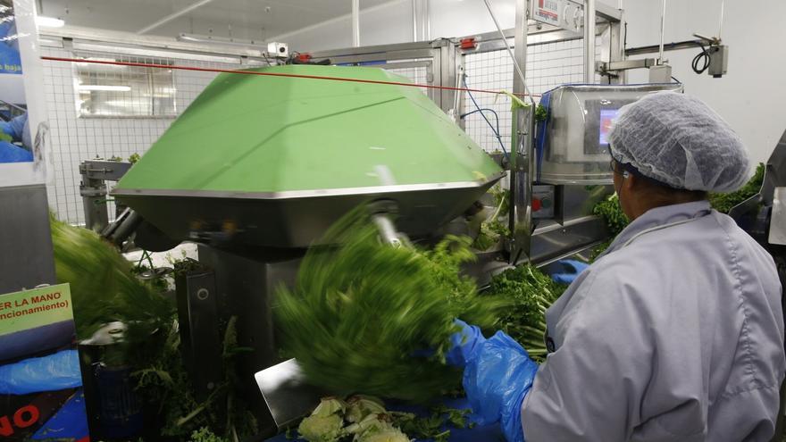 Las exportaciones navarras no acaban en EEUU: oportunidades en Mercosur y África