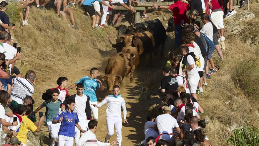 Fotos del tercer encierro del Pilón de fiestas de Falces 2026
