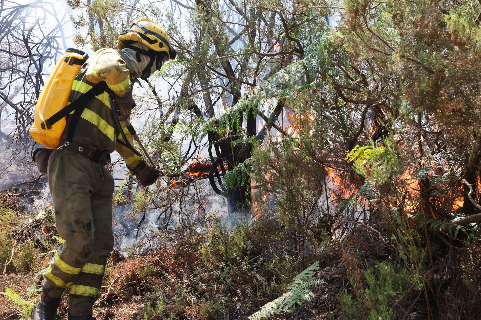 Semana negra de incendios: Cuatro muertos y 120.000 hectáreas quemadas
