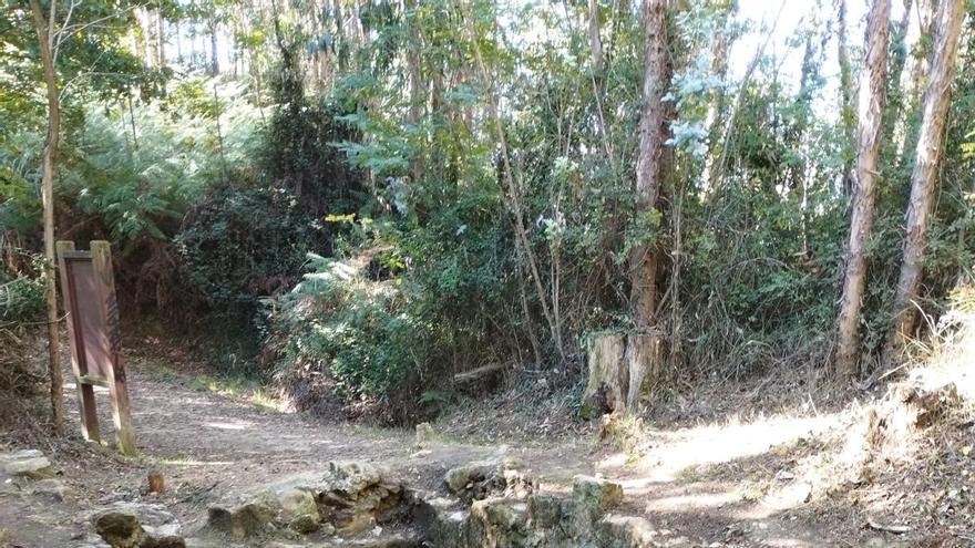 Burdin Hesiaren garrantzia azpimarratu nahi du Sopelak