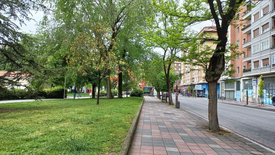 Abre su tercera tienda en Vitoria el negocio que crece a pasos agigantados
