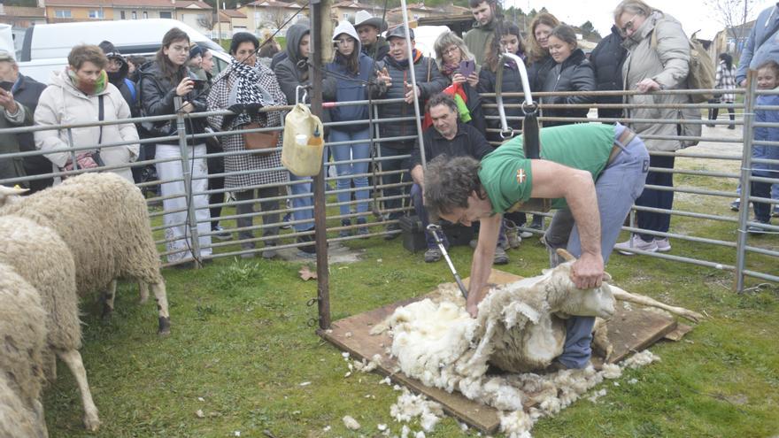 La Feria no defraudó en su día grande