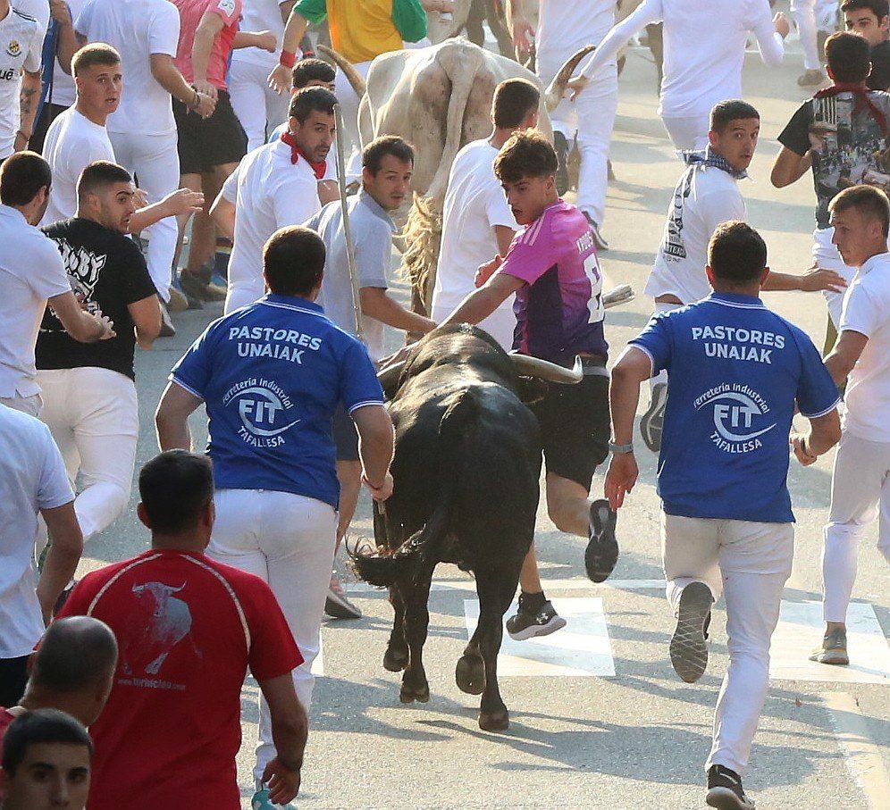 Fotos del primer encierro de fiestas de Tafalla