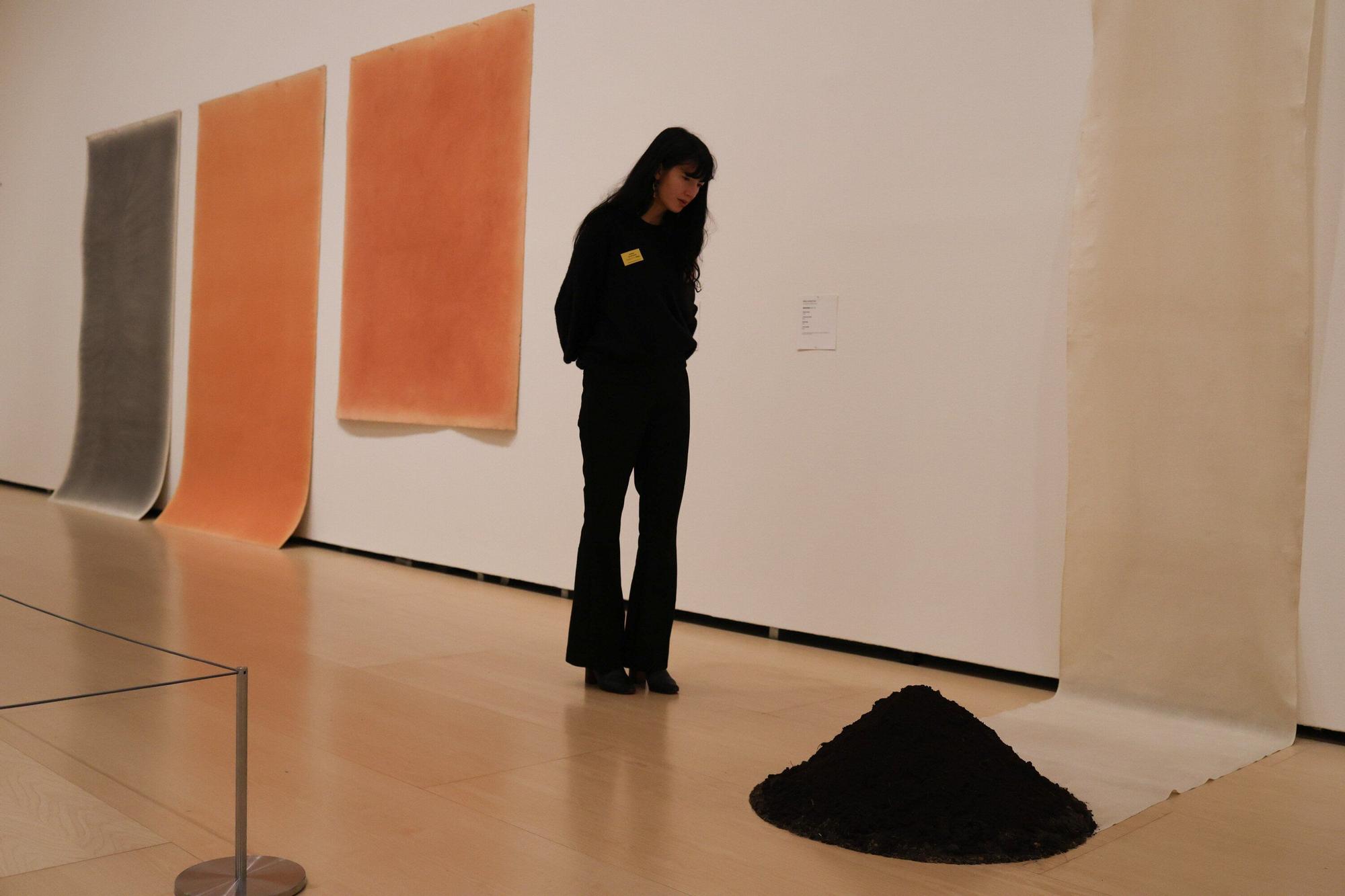 Arte y tierra, nueva exposición del Guggenheim