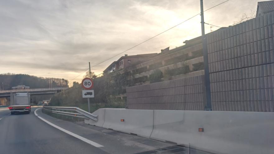 Pantallas “vegetales” contra el ruido de la autovía