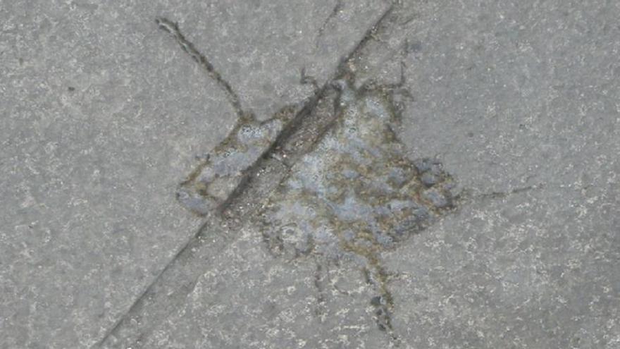 Recoge un escupitajo del suelo y le sirve como prueba de ADN para cobrar una herencia millonaria