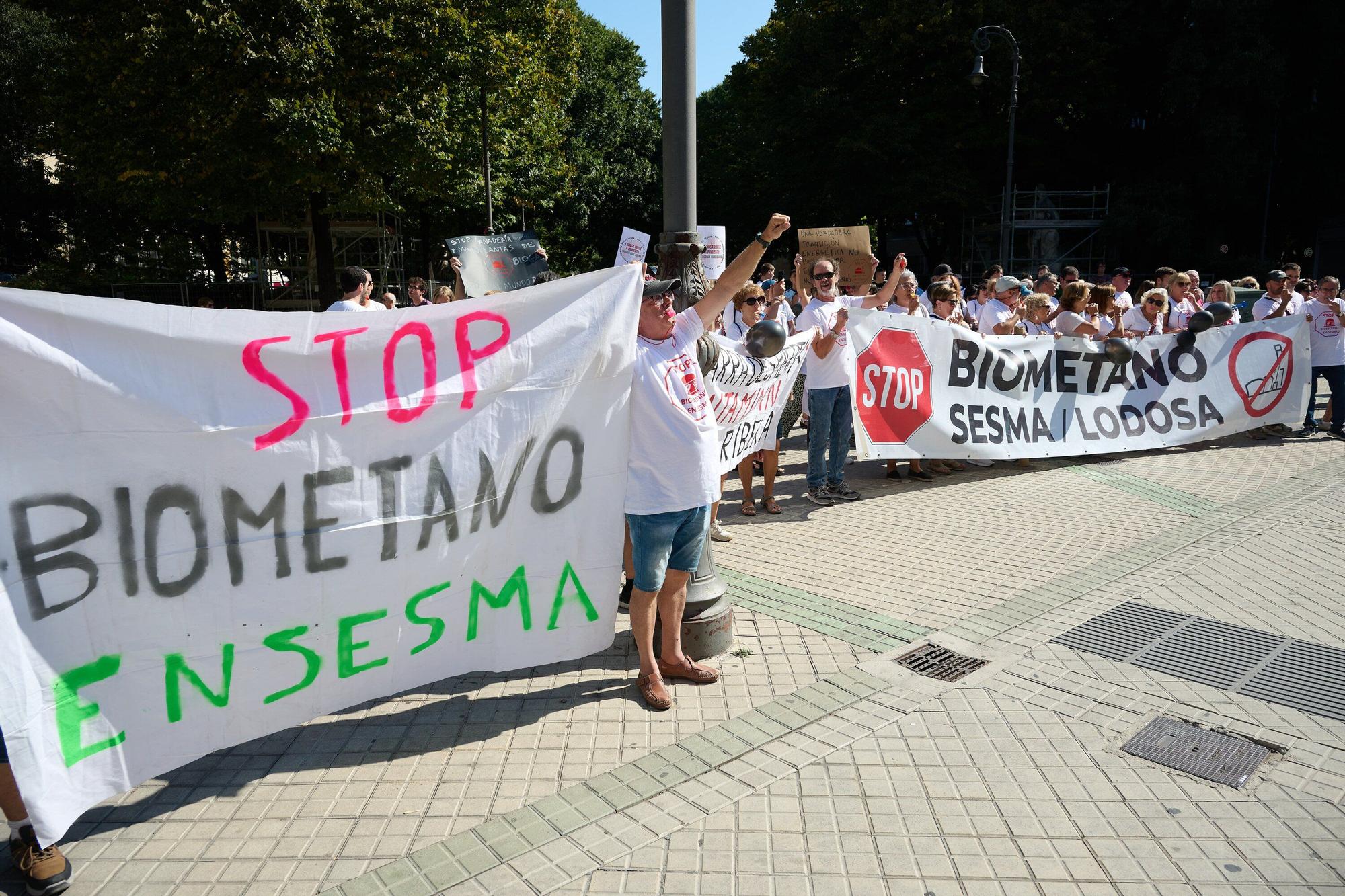 Concentración frente al Parlamento contra la central de biometano de Sesma